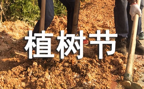 ֲ�九ף�R�~�����x50�䣩