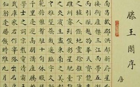 �����������w����x��